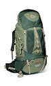clover/crocodile green (B53)