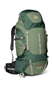 clover/crocodile green (B53)